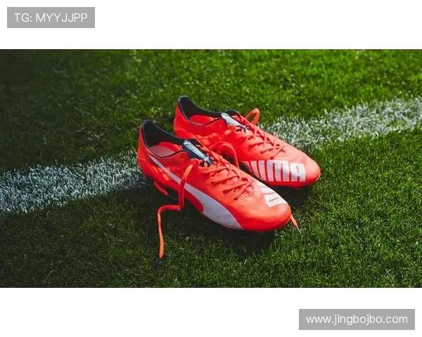 奇发体育全面解析：如何选择适合自己的专业体育装备提升运动表现